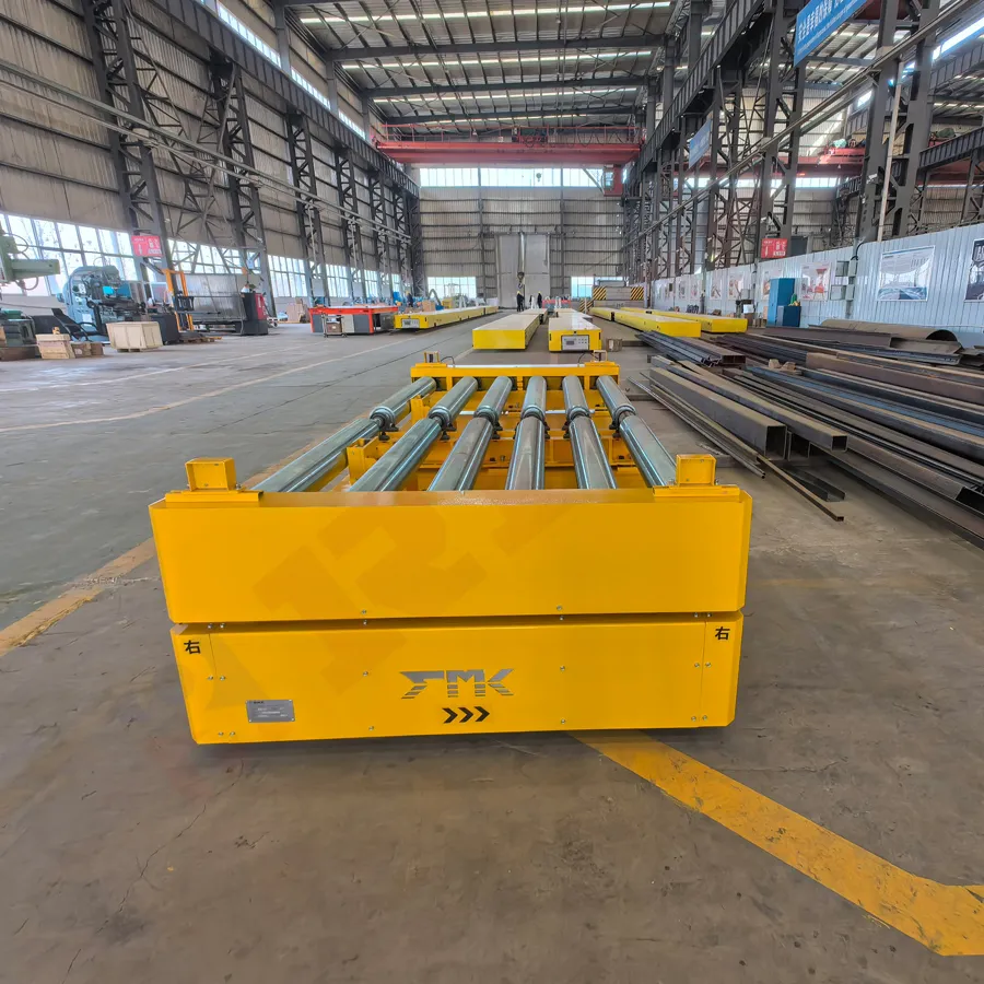 Roller Conveyor Rail Transfer Trolley